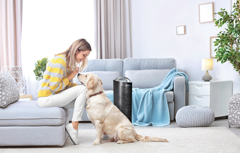 Therapure woman dog living room purifier
